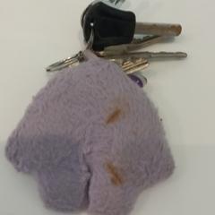 Claus, segons ha informat Arriva Limburg Zuid mitjançant iLost