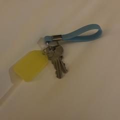 Keys, iLost에 보고됨