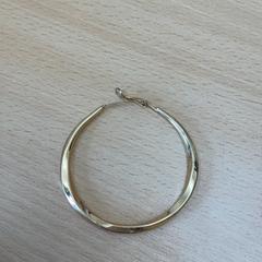 Oorbel, zoals gemeld door Schönbrunn "Group Center" met iLost