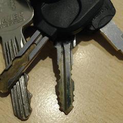 Porte-clés, a été signalé par Walibi Holland utilisant iLost