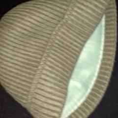 Beanie, como reportado por TivoliVredenburg utilizando o iLost