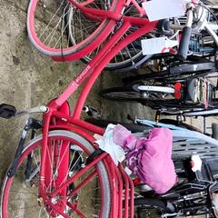 Dámsky bicykel Batavus, ako bolo nahlásené Stadswerk072 pomocou iLost