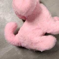 Hračka Roze, jak nahlášeno Arriva Friesland / Groningen pomocí iLost