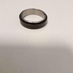 Anell Black, segons ha informat Ramada by Wyndham Amsterdam Airport Schiphol mitjançant iLost