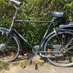 Fiets, as reported to iLost