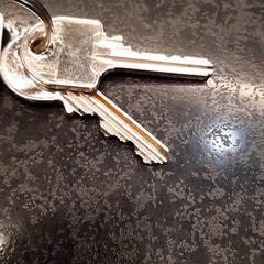 İLost kullanarak Rotterdam The Hague Airport tarafından bildirildiği gibi Anahtarlar