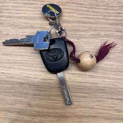 자동차 열쇠 Sleutelbos toyota sleutel, iLost를 사용하여 Gemeente Oirschot에 보고됨