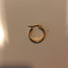 Náušnice, jak nahlášeno Arriva Limburg Noord pomocí iLost