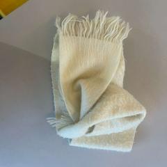 شال، كما تم الإبلاغ عنه بواسطة Gebo Tours عبر iLost