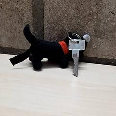 Gakoa, gisa salatu by Arriva Oost-Brabant iLost erabiliz