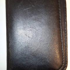 Pashouder Roza-van Zee, rapporterat av Qbuzz DMG med iLost