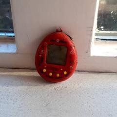 İLost kullanarak DierenPark Amersfoort tarafından bildirildiği gibi Speelgoed