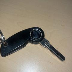 自転車の鍵 がiLostで Jaarbeurs によって報告されました