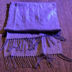 Šál Grijs, ako bolo nahlásené De Heeren van Aemstel pomocou iLost