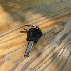 Black Key with Keychain, zoals gemeld door Best Kept Secret 2025 met iLost