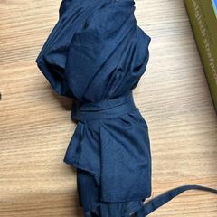 Regenschirm UMBRELLA, gemeldet von Vrije Universiteit Brussel (VUB) über iLost