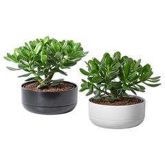IKEA termék, amint azt IKEA Grenoble az iLost segítségével jelentette.