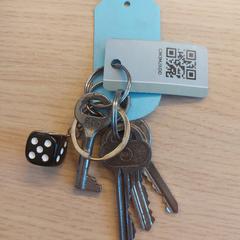 Keys, as reported by EBS OV Poeldijk using iLost