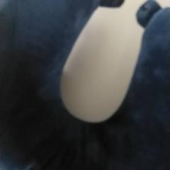 Pillow Blauw, as reported by Regio Antwerpen - Brussel using iLost