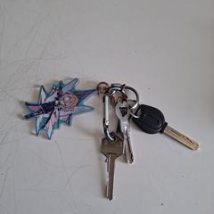 Sleutelbos, iLost에 보고됨