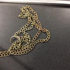 매력이 있는 목걸이, iLost를 사용하여 Breng Nijmegen에 보고됨