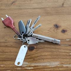 Sleutelbos, som rapporterats till iLost