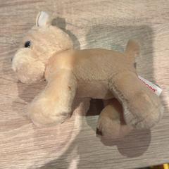Knuffel Beige hond, segons ha informat Van der Valk Hotel Apeldoorn - De Cantharel mitjançant iLost