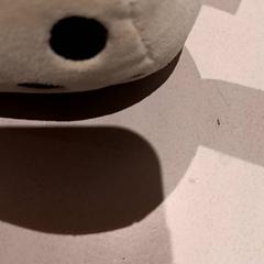 Bábiky, ako bolo nahlásené De Efteling pomocou iLost