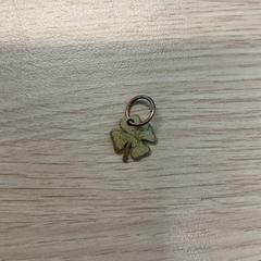 القرط، كما تم الإبلاغ عنه بواسطة Gemeente Arnhem عبر iLost