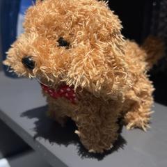 Jostailua Dog, brown, gisa salatu by MEININGER Hotel Amsterdam City West iLost erabiliz