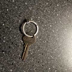 sleutel, gerapporteerd met iLost