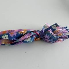 Paraguas, ha sido reportado por Regio Limburg - Leuven con iLost