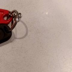 İLost kullanarak De Efteling tarafından bildirildiği gibi Anahtar