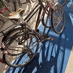 Vélo pour femme, a été signalé par Gemeente Roermond utilisant iLost