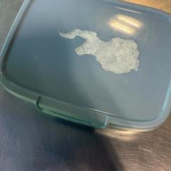 Lunch box, as reported by Burgers' Zoo using iLost