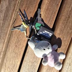 Sleutelbos, som rapporterats till iLost