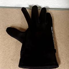 Glove Zwart, as reported by Qbuzz GD Groningen Peizerweg using iLost