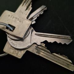 Sleutel bos, iLost'a bildirildiği gibi