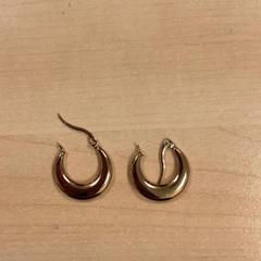 Náušnice golden earing, ako bolo nahlásené MEININGER Hotel Amsterdam City West pomocou iLost