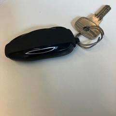 Autosleutels Zwarte Tesla sleutels, como reportado por Gemeente Rijswijk utilizando o iLost