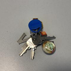 Kľúčenka, ako bolo nahlásené Breng Arnhem pomocou iLost