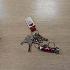 Sleutelbos, iLost-i jakinarazi zaion moduan