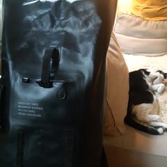 Zwarte rugzak rugtas backpack がiLostに報告されました