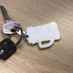 Sleutels, zoals gemeld door Gemeente Arnhem met iLost