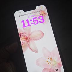 Iphone, as reported to iLost
