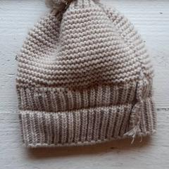 Muts, gemeldet von DierenPark Amersfoort über iLost