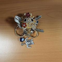 Schlüsselanhänger, gemeldet von Connexxion Noord Holland Noord Alkmaar über iLost