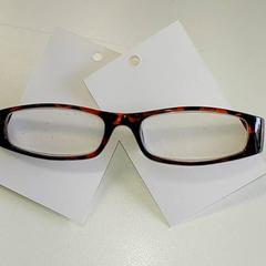 Lentes, segundo informou Regio Antwerpen - Brussel usando iLost