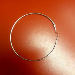 Kolczyk, zgłoszono przez UvA REC przy użyciu iLost