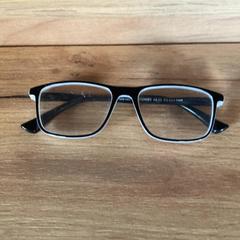 Okuliare Zwart, ako bolo nahlásené Attractie- & Vakantiepark Slagharen pomocou iLost